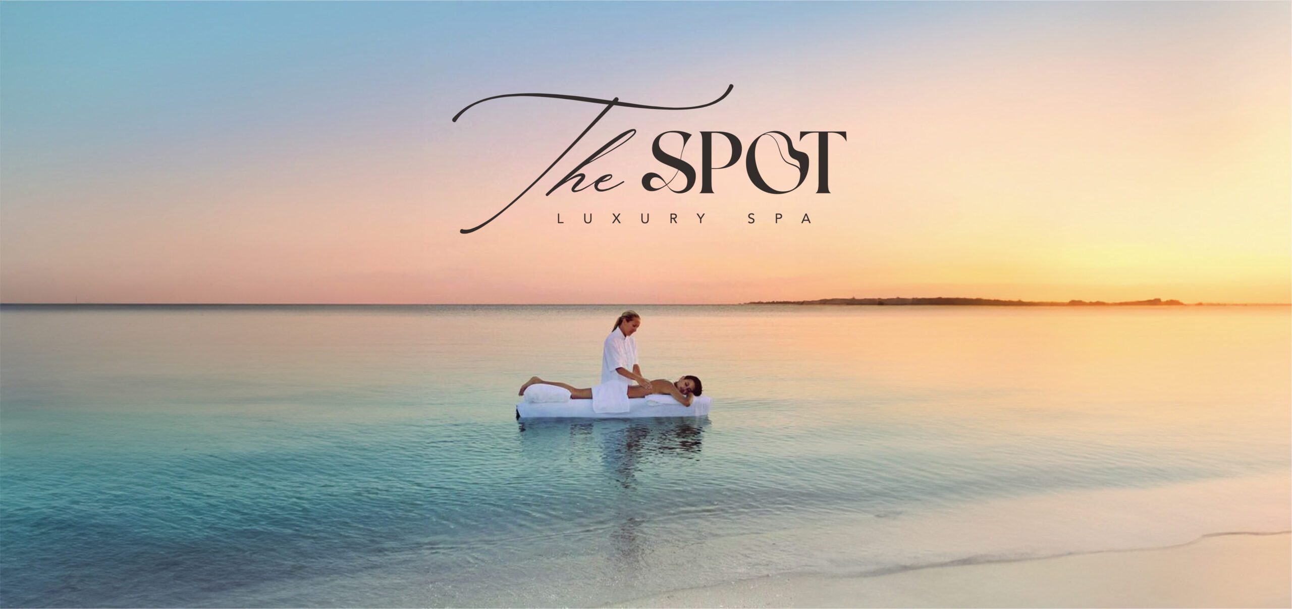 the spot logo